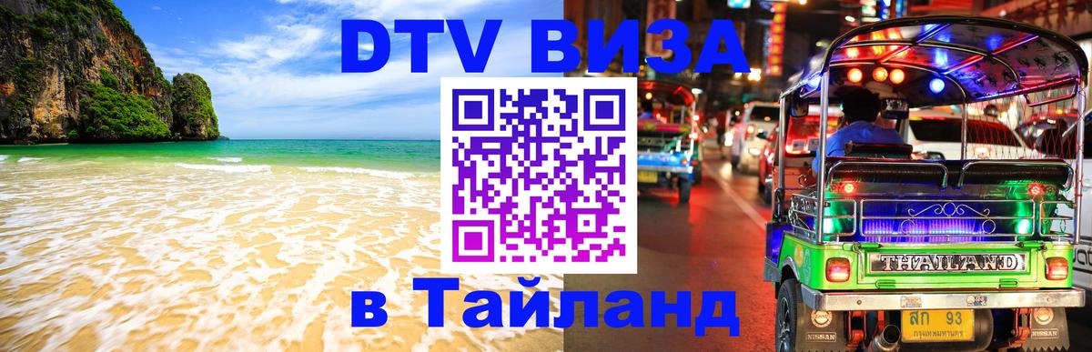 Сколько стоит DTV виза — актуальные цены, оформление даже без документов - Долгопрудный 